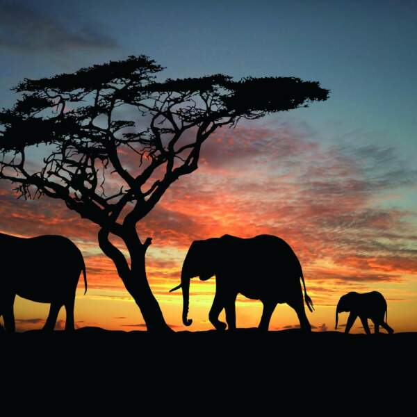 Erlebnis-Reisen Sudafrika Cederberg Region hausgemachte Leckereien Tee